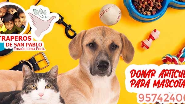 ▷ Donde Donar Artículos a Refugios de Animales en Lima Perú.